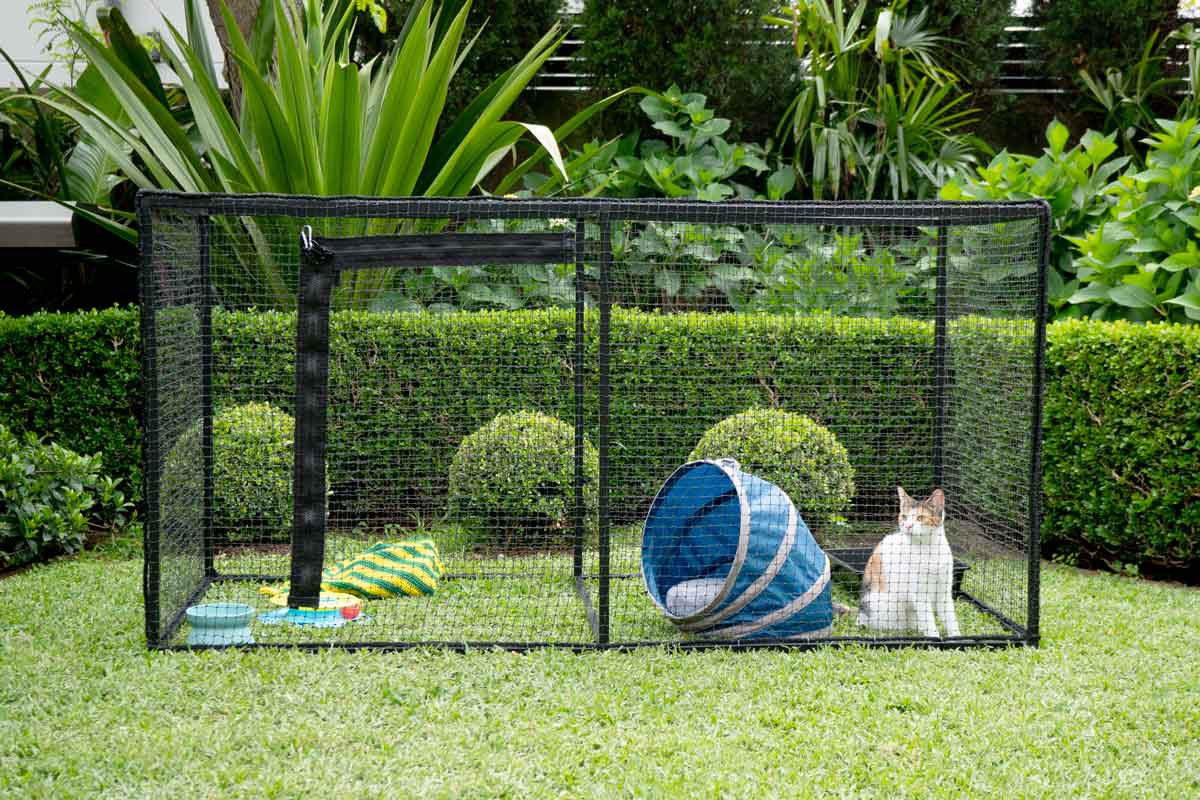 Freestanding Cat Enclosures – Catnets Singapore