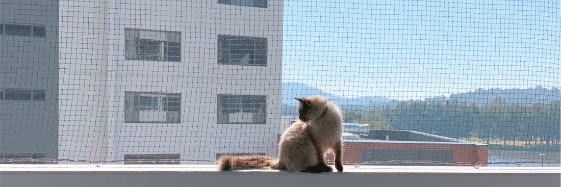 Cat Enclosures, Cat nets, Cat Netting, Cat Runs, Containment – Catnets ...
