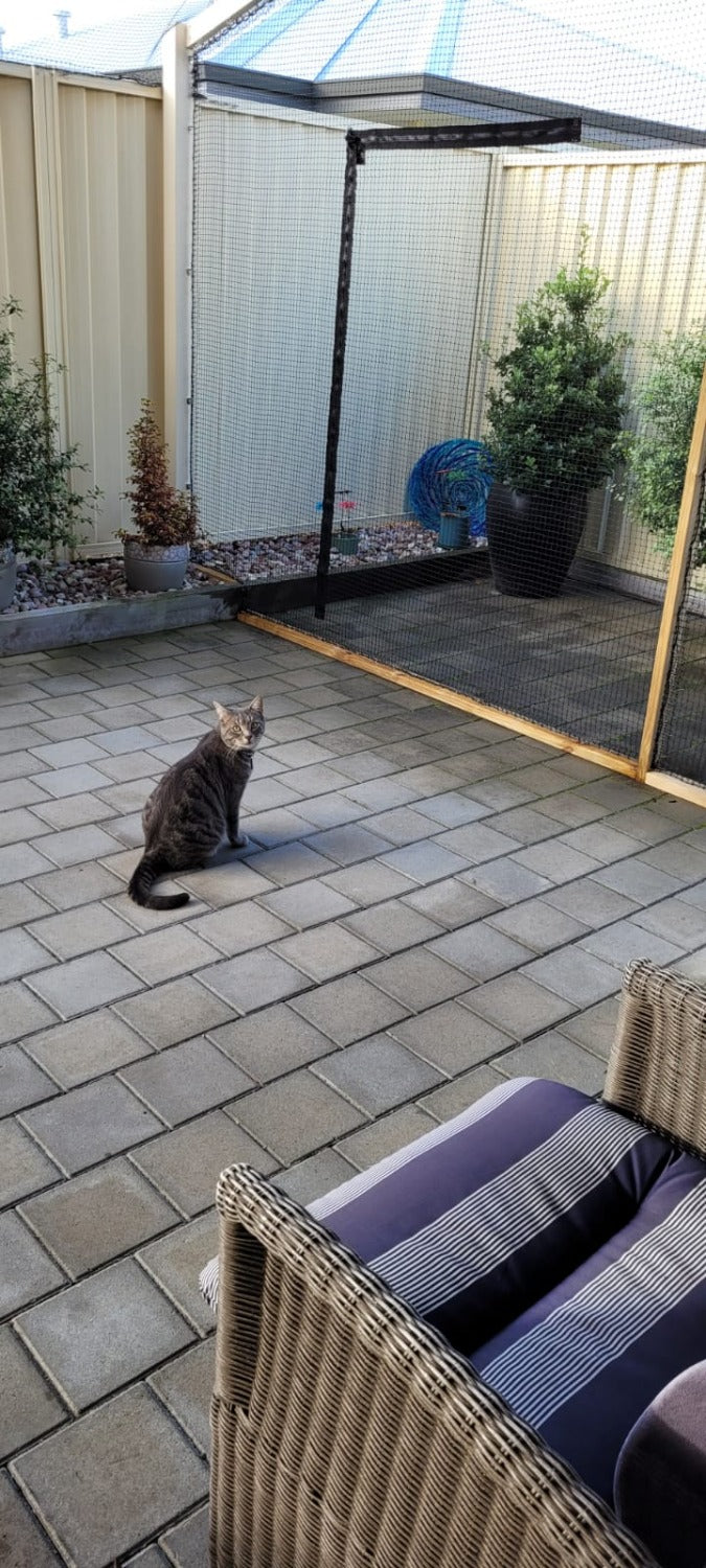 Cat proof outlet patio