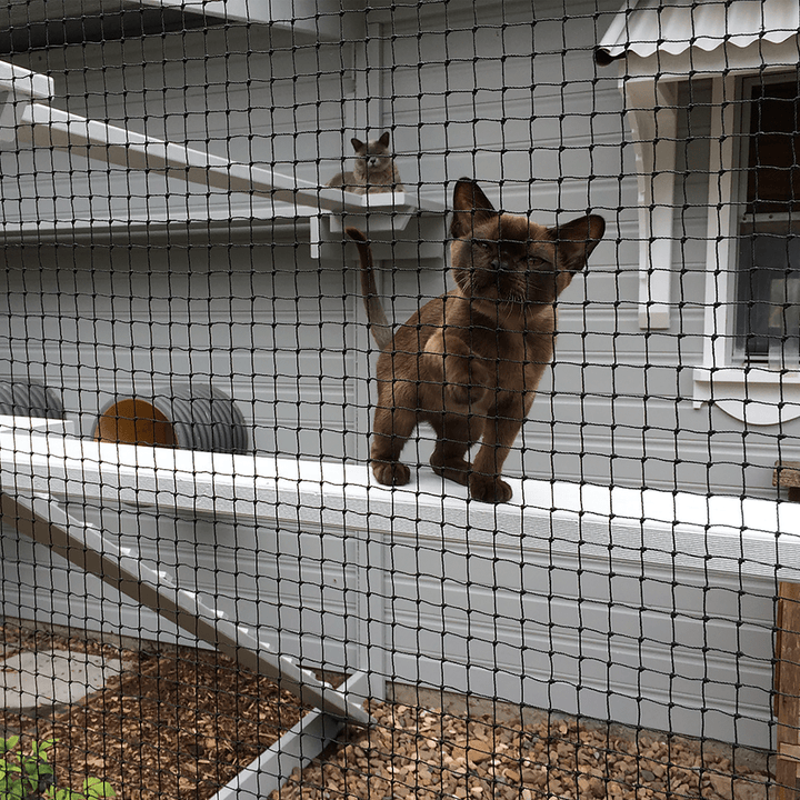 Catnets Cat Netting (by the metre) Cat Netting (by-the-metre) Black